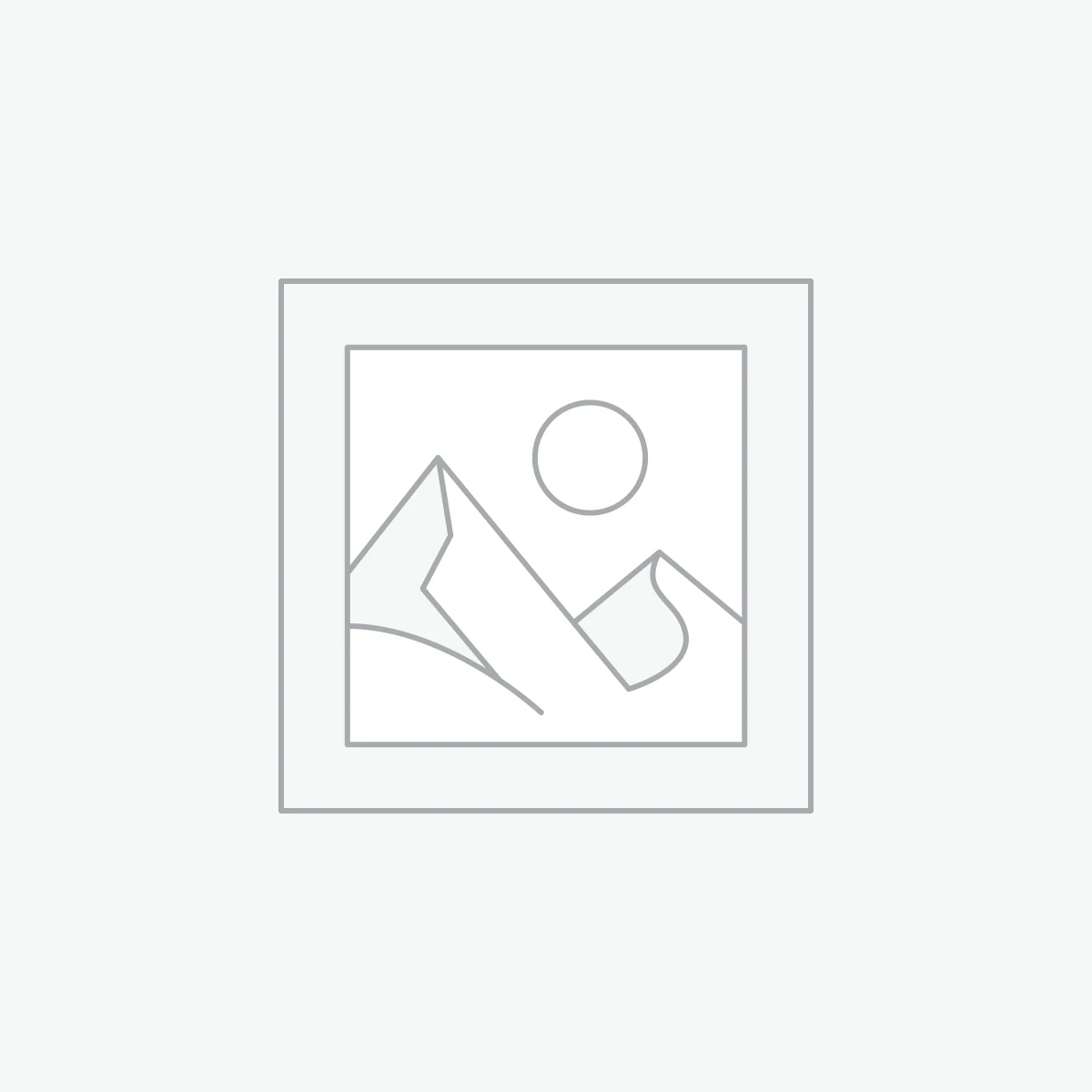 Alpinestars Bag/Backpack